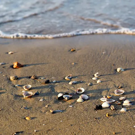 In 38279 Bibione